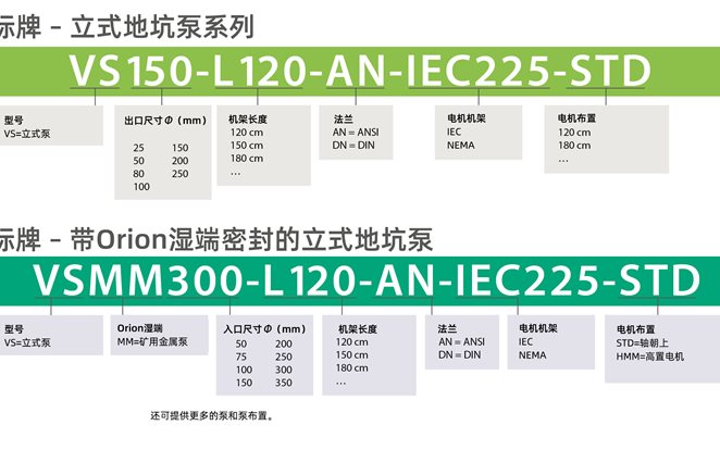 Legend Vertical Pump VS150 and VSMM300 Series