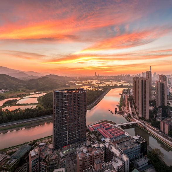 致力于可持续发展领导力
